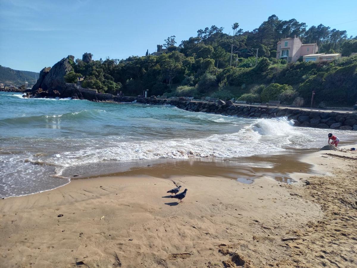 Villa Malibu Мандельє-ла-Напуль Екстер'єр фото